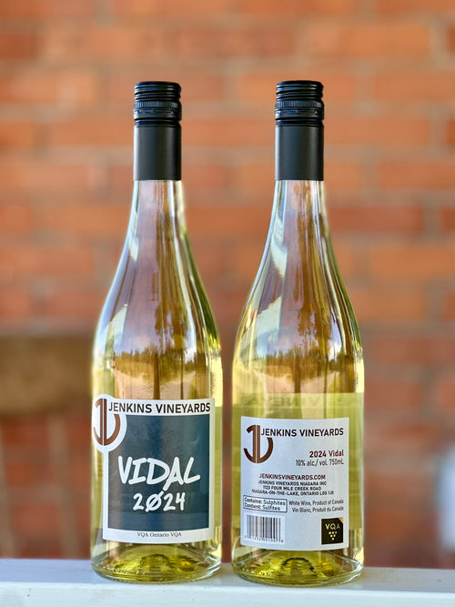 2024 Vidal