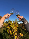 Wine Tasting Flight