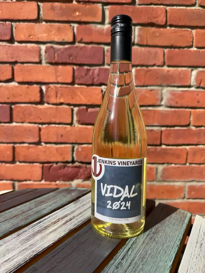 2024 Vidal